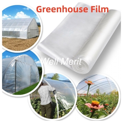 1M-16M Width PE/PO/EVA Plastic Agricultural Greenhouse Film Cover