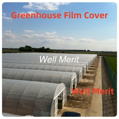 1M-16M Width PE/PO/EVA Plastic Agricultural Greenhouse Film Cover